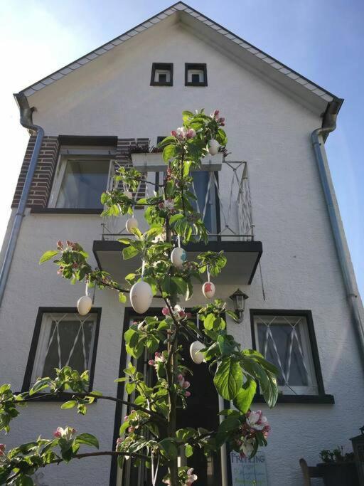 Schoenes Haus Mit Grossem Garten Seligenstadt Exterior foto